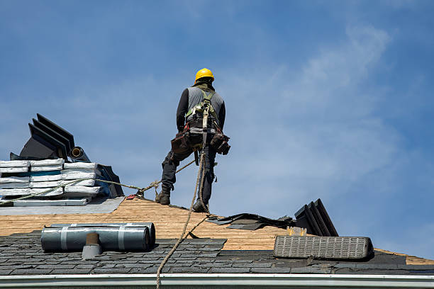 Professional Gutter Installation technician working in Anoka, MN